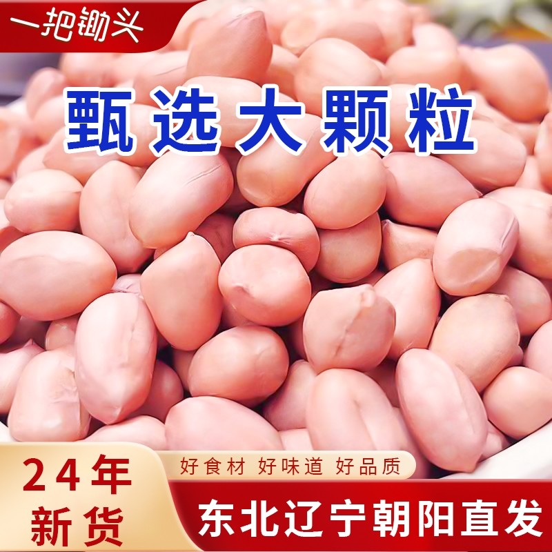 东北白沙花生米2024年新货农家自种新鲜生粉红皮花生仁粒果仁大粒