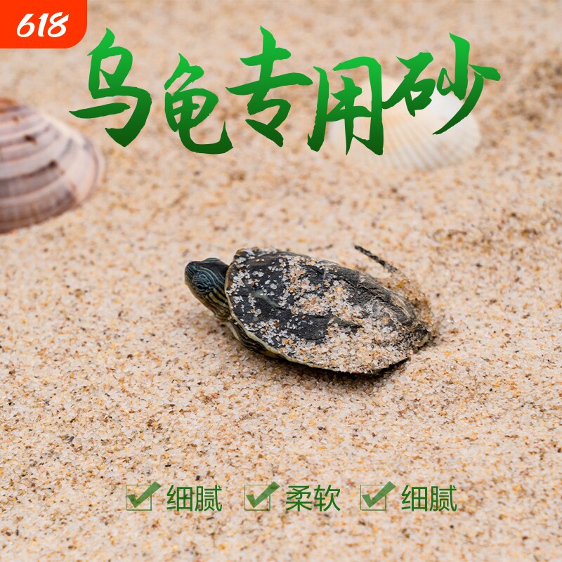 乌龟冬眠孵化用细河沙鱼缸装饰造景底砂草龟鳄龟巴西龟下蛋用砂
