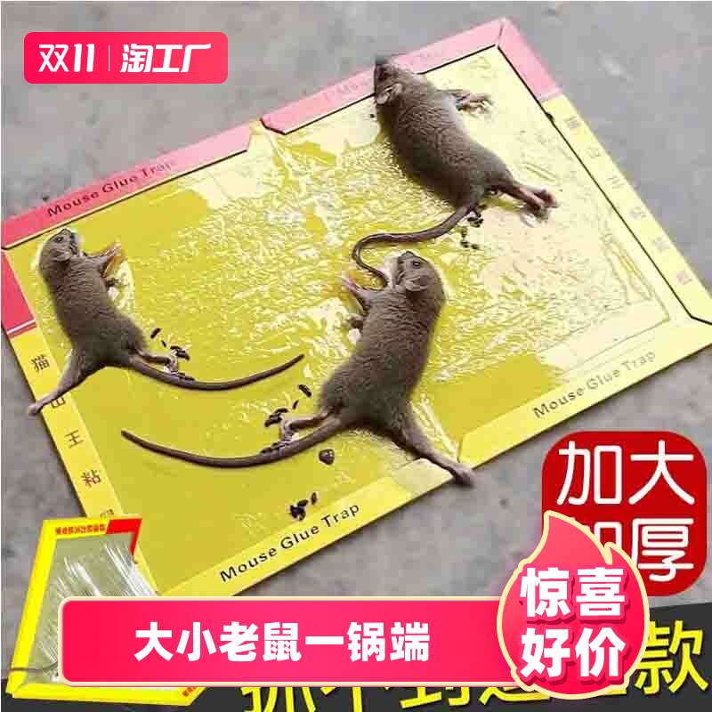 30张强力粘鼠板捉粘大老鼠沾胶抓灭鼠笼捕鼠夹神器正品家用一窝端怎么样,好用不?