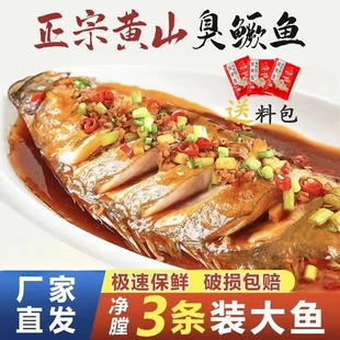 3条臭鳜鱼臭桂鱼约5两 1.6斤正宗安徽黄山特产徽州特色地方新鲜