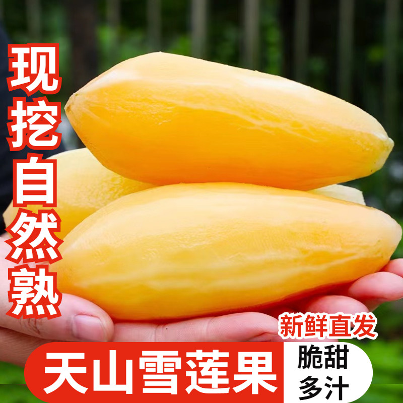 现挖雪莲果新鲜水果黄心大果9斤当季云南天山,水产肉类/新鲜蔬果/熟食,雪莲果,淘宝优惠券,粉丝福利购,淘宝优惠卷