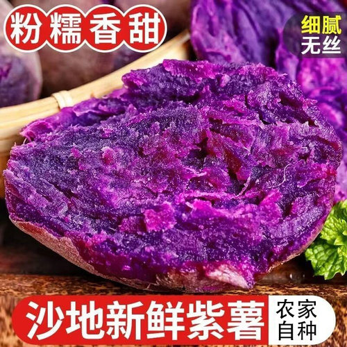 紫薯新鲜地瓜农家现挖