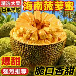 海南三亚菠萝蜜新鲜水果波罗蜜当季一整个10-40斤整箱包邮