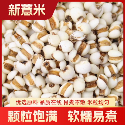 【新货】易煮快熟薏米仁五谷杂粮低GI高纤维饱腹感强配红豆250克