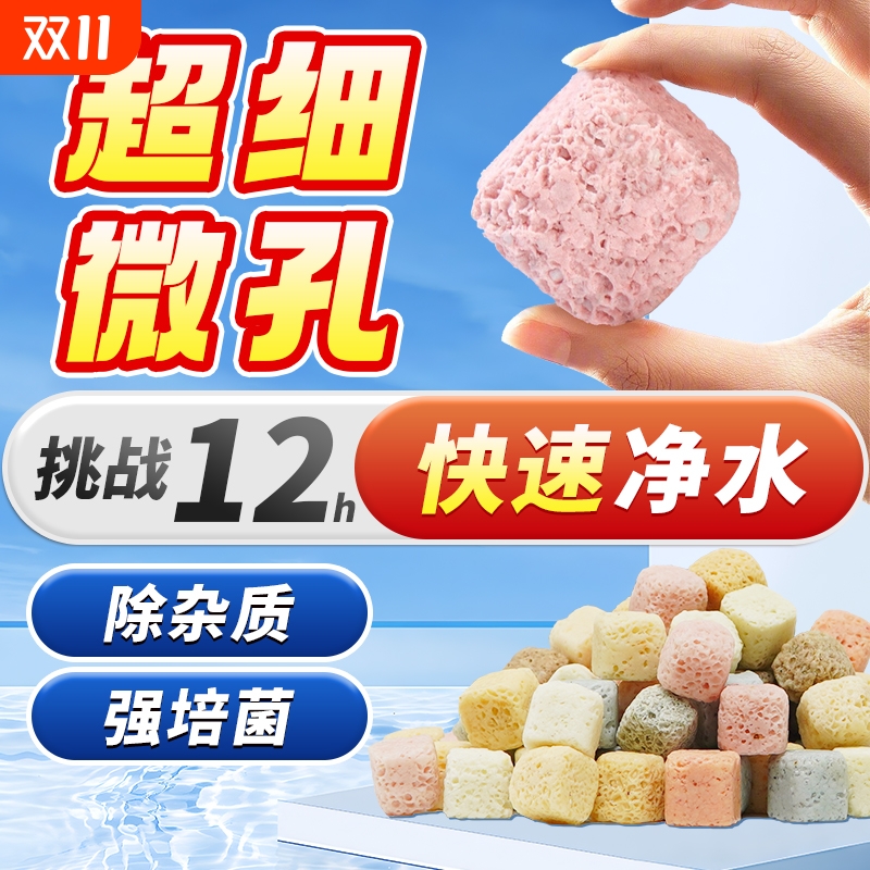 青色水景净水培菌平衡水质