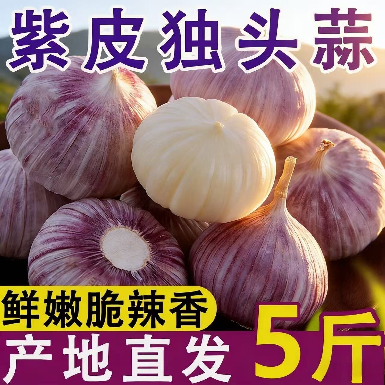 今年新蒜云南紫皮独头蒜 干蒜头圆润鲜辣 当季蔬菜产地直供,水产肉类/新鲜蔬果/熟食,大蒜,淘宝优惠券,粉丝福利购,淘宝优惠卷