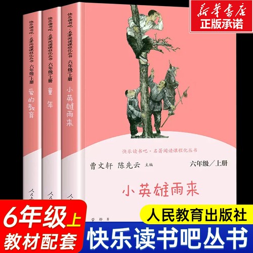 快乐读书吧六年级上册课外书全套