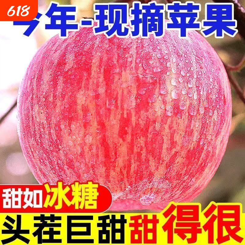 正宗陕西苹果脆甜高原红富士苹果应季水果新鲜苹果水果整箱包邮
