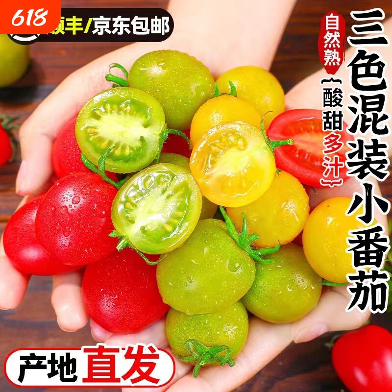 新鲜三色圣女果超甜小番茄西红柿千禧清甜水果生吃顺丰京东自然熟
