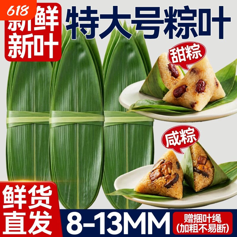 野生粽叶新鲜粽子叶特大号新货官方旗舰店端午节包甜咸粽商家专用