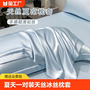夏天枕套一对装家用冰丝枕头套高级感双人枕芯内胆套夏季单人男