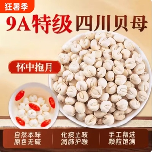 川贝母中药材无硫新货四川特级野生可搭枇杷膏糖炖梨喝止咳