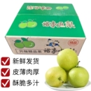 青皮玉梨脆甜 新鲜发货头茬青梨酥脆一号翠玉翠冠梨产地直发当季
