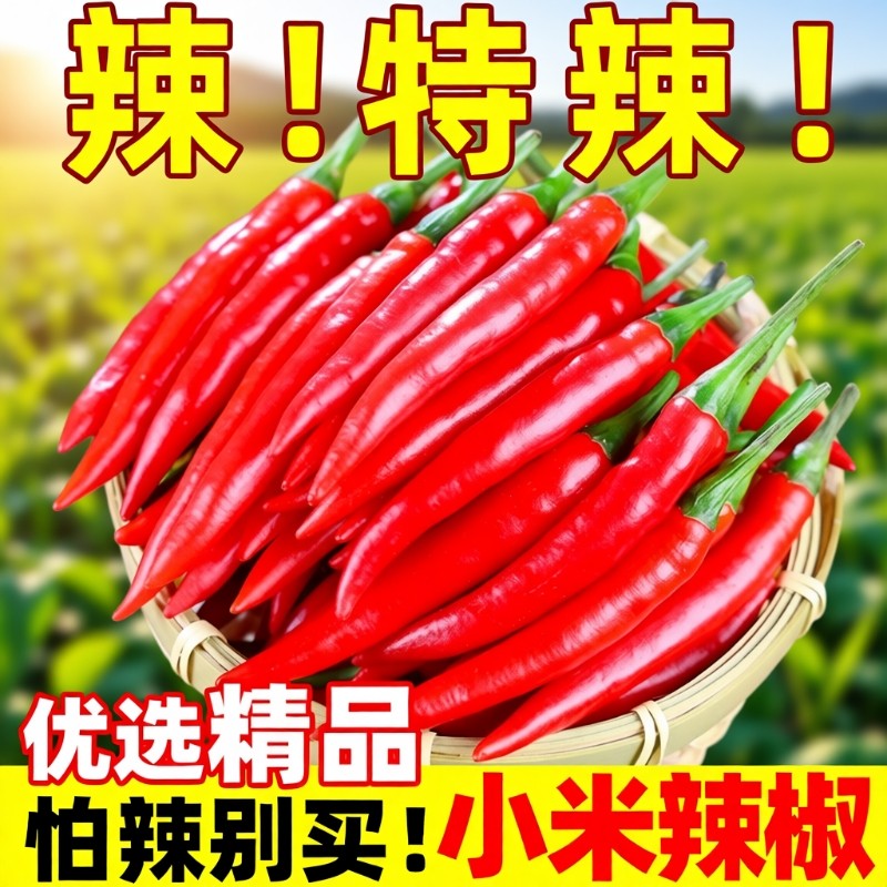 小米辣新鲜5斤批发小米椒朝天椒特辣超辣薄皮冰袋冷链保鲜速发,水产肉类/新鲜蔬果/熟食,辣椒,淘宝优惠券,粉丝福利购,淘宝优惠卷