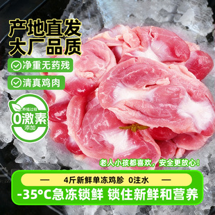 大号鸡珍新鲜冷冻整箱批发鲜活现杀鸡杂鸡盹卤味烧烤商用鸡肉食材