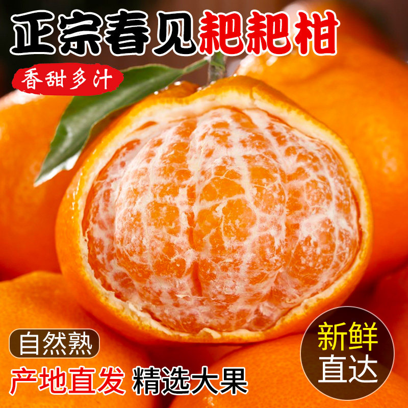 春见耙耙柑9斤正宗现摘粑粑柑新鲜水果当季整箱丑橘柑橘桔子年货,水产肉类/新鲜蔬果/熟食,桔子,淘宝优惠券,粉丝福利购,淘宝优惠卷
