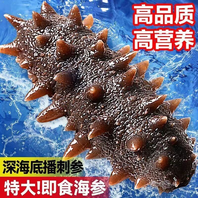 海参即食大连辽参礼盒鲜活开袋独立包装刺参非淡干正品官方旗舰店图片