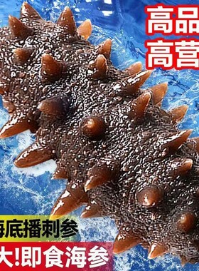 海参即食大连辽参礼盒鲜活开袋独立包装刺参非淡干正品官方旗舰店