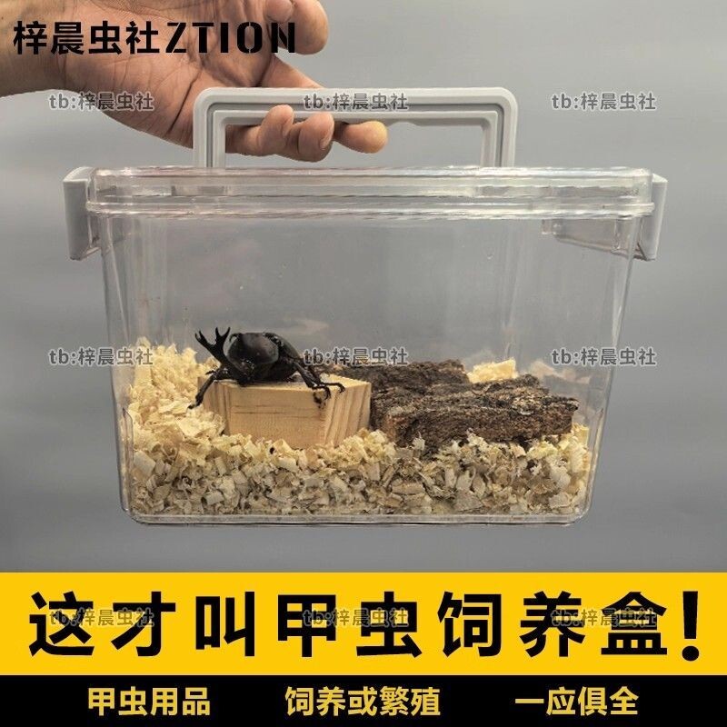 甲虫饲养箱独角仙锹甲专业爬虫箱兜虫可透气饲养盒幼虫产房爬宠箱