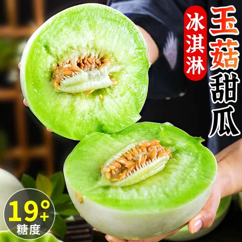 正宗山东玉菇甜瓜新鲜水果当季香瓜冰淇淋密瓜