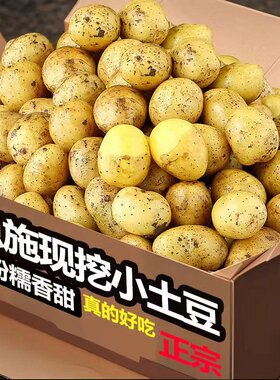 现挖恩施小土豆9斤现挖湖北新鲜黄心土豆当季蔬菜整箱迷你马铃薯