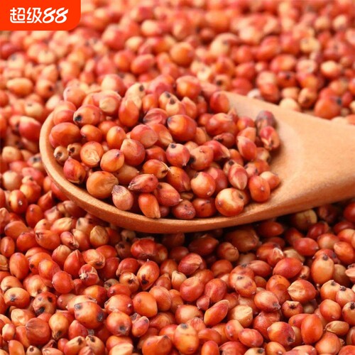 红高粱喂鸽子粮食去壳带皮