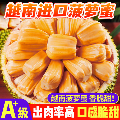 越南红橙黄肉菠萝蜜新鲜水果干苞脆爽新鲜包邮【生切不赔】