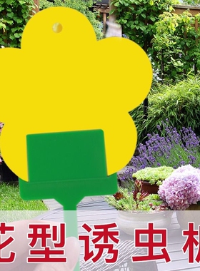 小飞虫克星花型诱虫板双面粘虫板小黑飞粘虫纸家用黄色果蝇诱捕器