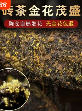 黑茶正宗湖南安化黑茶官方旗舰店正品安化黑茶金花茯砖茶陈年伏茶