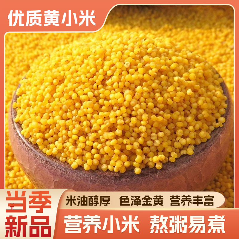 2025年正宗山西黄小米粗粮熬粥养胃米脂黏稠香浓杂粮小米粥