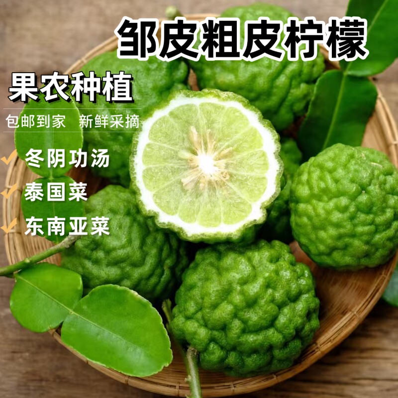 新鲜皱皮柠檬粗皮柠檬丑果柠檬毛里橙泰国菜东南亚菜用马蜂橙包邮图片