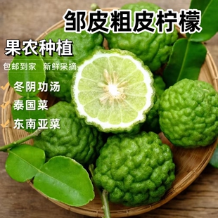 新鲜皱皮柠檬粗皮柠檬丑果柠檬毛里橙泰国菜东南亚菜用马蜂橙包邮