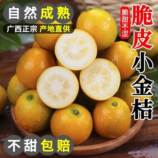 新鲜冰糖心5斤整箱柑果园桂林现摘 广西脆皮金桔10融安小金桔当季