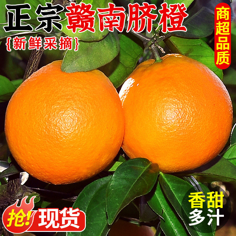 【产地直发】当季鲜果现摘现发