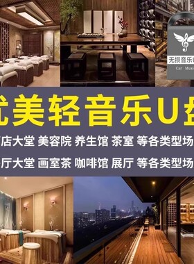 门店轻音乐钢琴曲茶室纯音乐钢琴曲音乐U盘纯琵琶曲独奏钢琴曲