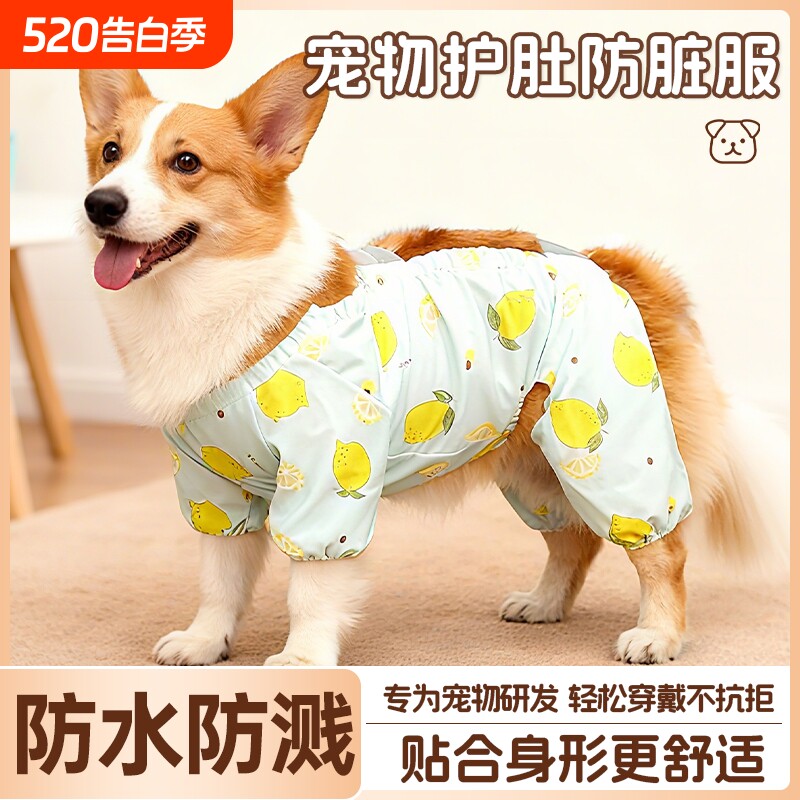 狗狗护肚防脏服外出防尘裤狗腿套四脚设计防护狗衣服防水可爱防虫