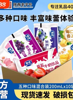 银桥草莓味牛奶饮品200ml*12袋装含乳饮料正品葡萄蓝莓真果汁菠萝