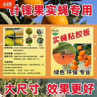果实蝇粘虫板捕虫神器柑橘实蝇防治粘胶板针蜂克星诱捕板果树果蝇