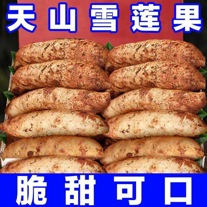 天山雪莲果新鲜水果应当季云南孕妇红心雪连果黄心特整箱直发
