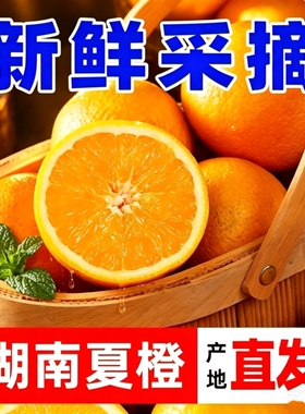 现摘现发夏橙新鲜晚熟榨汁手剥橙子脐橙香橙甜橙产地直发整箱