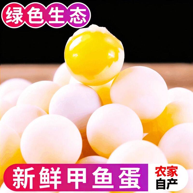 农家新鲜现挖甲鱼蛋可食用原生态中华鳖蛋团水鱼蛋王八蛋宝宝辅食