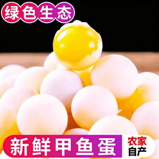 农家新鲜现挖甲鱼蛋可食用原生态中华鳖蛋团水鱼蛋王八蛋宝宝辅食
