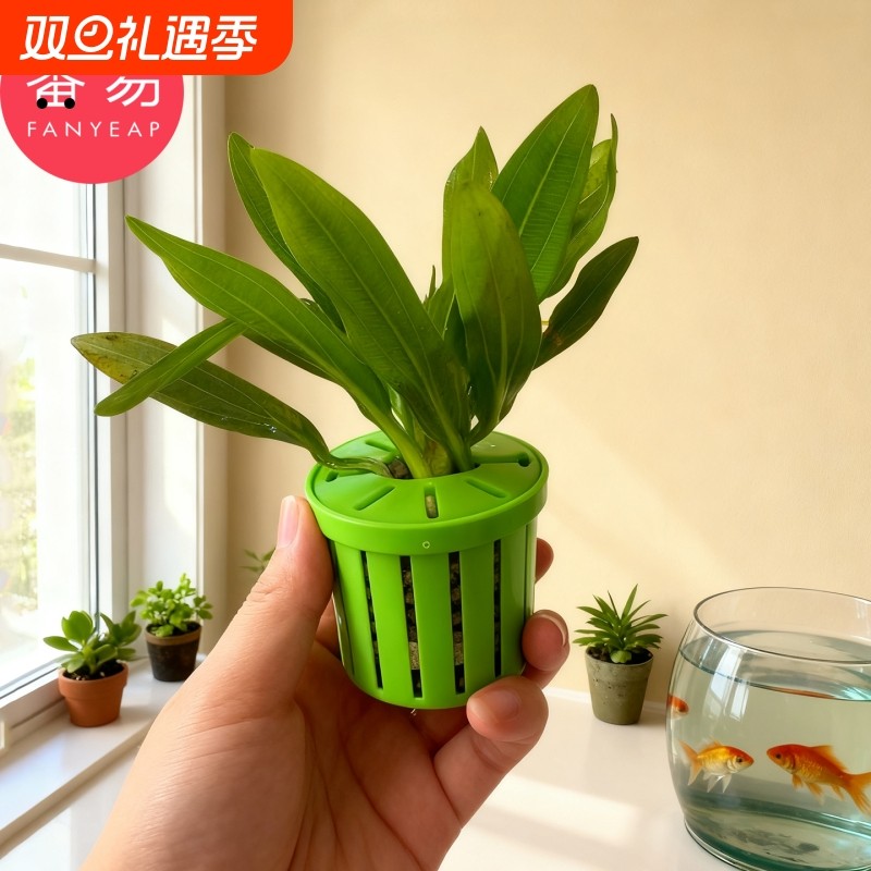 水培定植篮A1vl001-家用种植水草沉底固定器鱼缸水培植物篮造