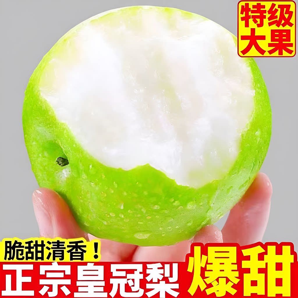 河北青皮皇冠梨梨脆甜多汁现摘新鲜水果当季水果精选青梨子图片