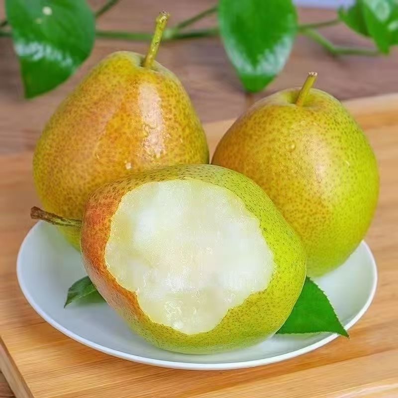 红香酥梨山西新鲜梨子现摘脆甜水果当季应季整箱包邮水果批发