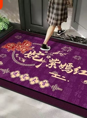 开运入户门垫玄学进门家用大门口地毯招财紫色脚垫除尘防滑客厅