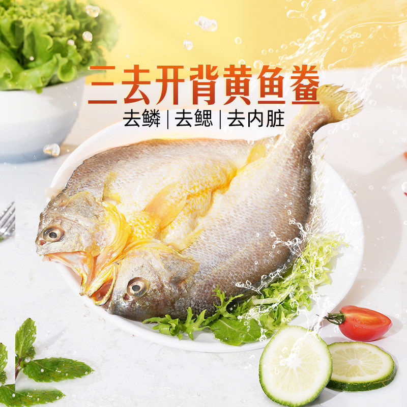 东方甄选黄鱼鲞5条装共1300g图片