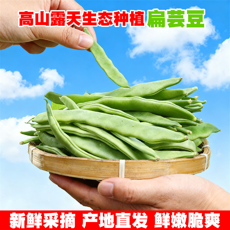 云南现摘扁豆当季农家新鲜蔬菜