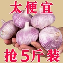 山东金乡紫皮大蒜头干蒜批发2024新鲜蒜头农家蒜子特大果