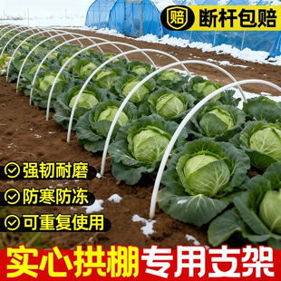 拱棚支架玻璃纤维菜地菜园家用拱条大棚拱杆骨架暖棚竹竿蔬菜遮阳